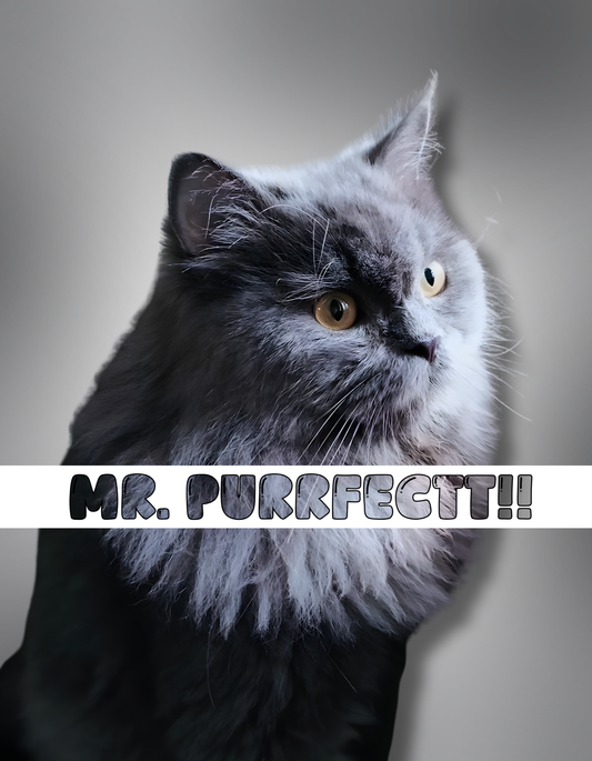 Cat Custom AOP T-Shirt | CT01 GlowZonePrints