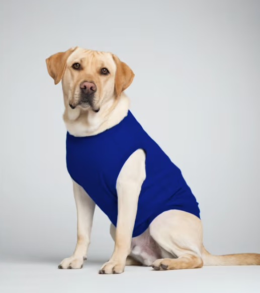 Dog T-Shirts (Custom Prints) GlowZonePrints