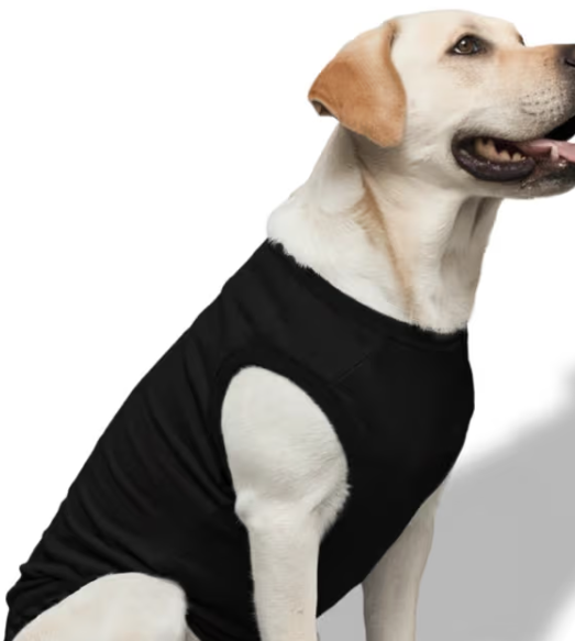 Dog T-Shirts (Custom Prints) GlowZonePrints