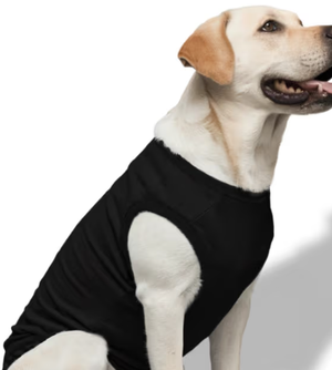 Dog T-Shirts (Custom Prints) GlowZonePrints