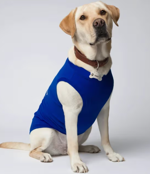 Dog T-Shirts (Custom Prints) GlowZonePrints