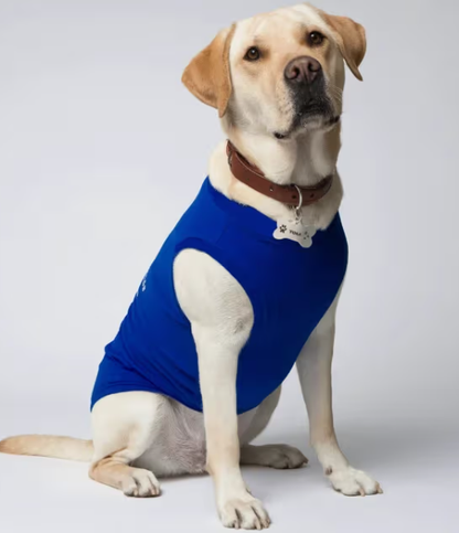 Dog T-Shirts (Custom Prints) GlowZonePrints