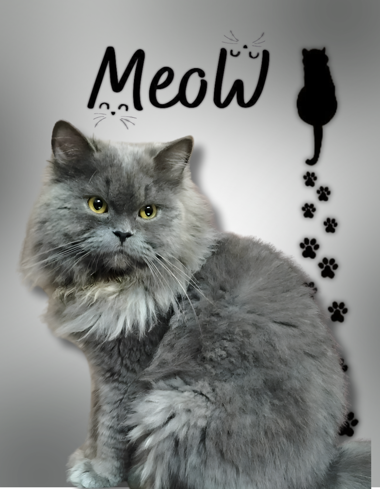 Cat Custom AOP T-Shirt | CT01 GlowZonePrints