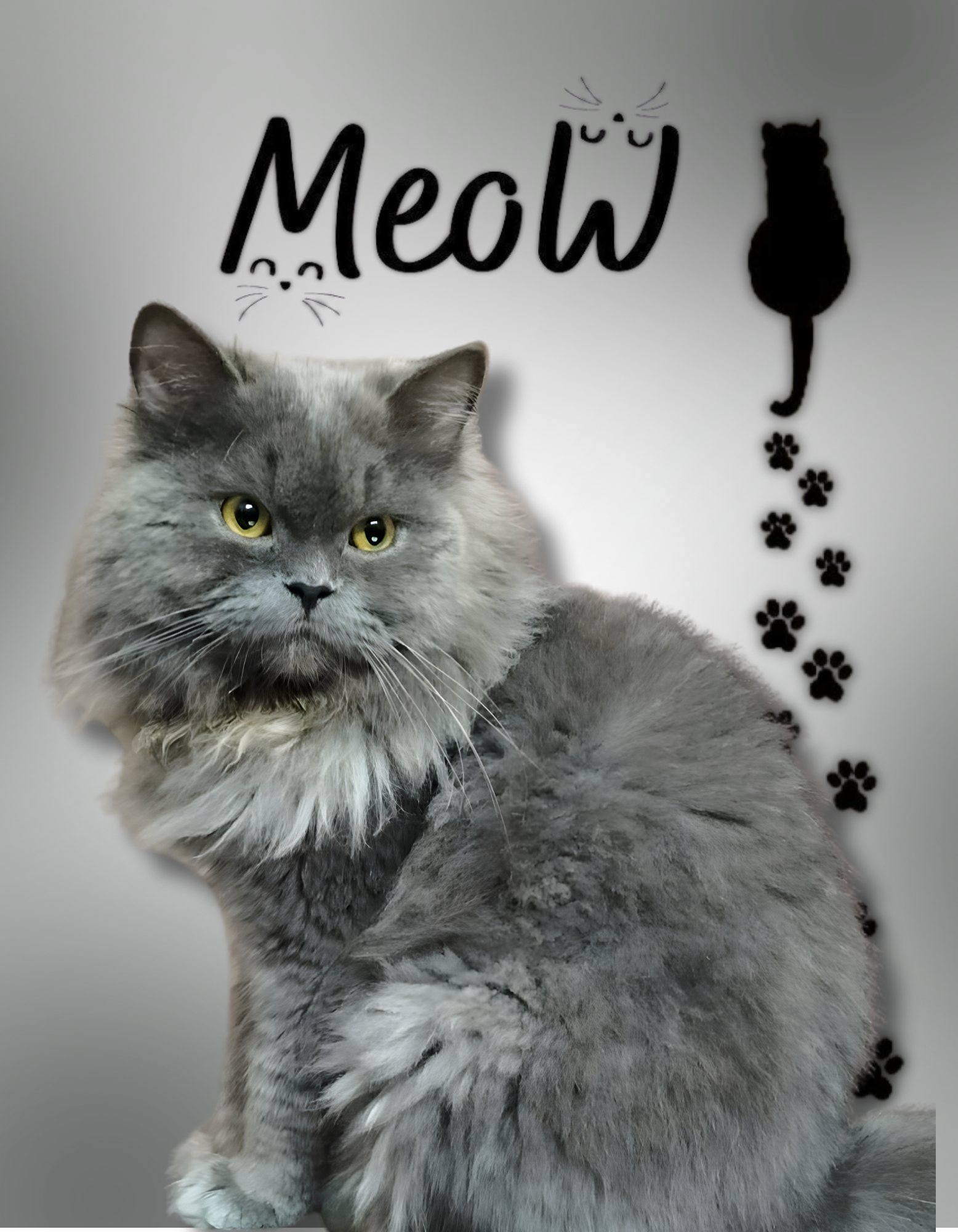 Cat Custom AOP T-Shirt | CT01 GlowZonePrints